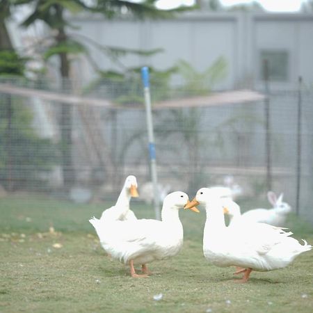 로얄 로터스 뷰 리조텔 호텔 Devanahalli 외부 사진